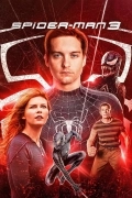 Free HdMovies4u Spider Man 3 (2007) (Hindi + English) Dual Audio Hollywood Movie BluRay HD ESub